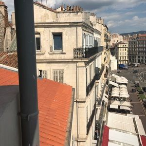 Meet your Posher, Molly